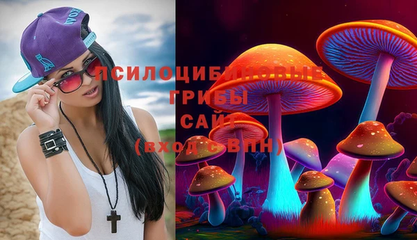 метамфетамин Заводоуковск