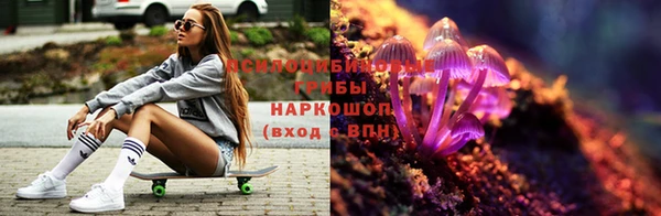 МДПВ Ельня