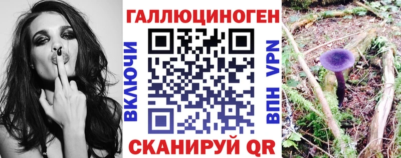 Галлюциногенные грибы Psilocybine cubensis  Купить где  Ишим 